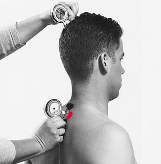 Range-of-motion exam